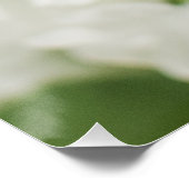 Poster Belles fleurs blanches par Ava (Coin)