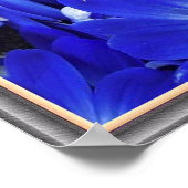 Poster Belles Fleurs Bleues (Coin)