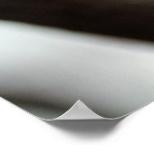 Poster Belles fleurs de cerisier (Coin)