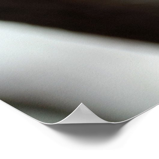 Poster Belles fleurs de cerisier (Coin)