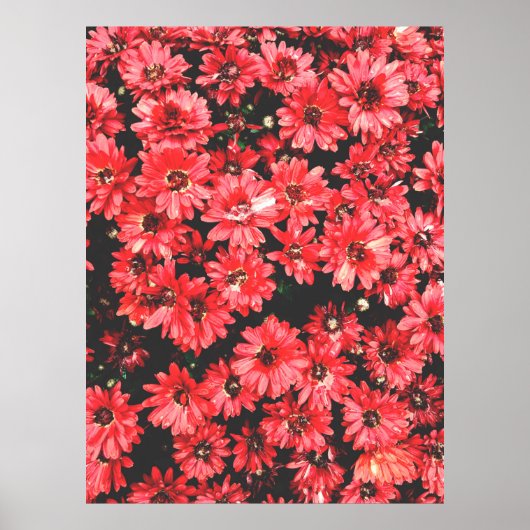 Poster belles fleurs de couleur rouge, fleurs motif, soye (Devant)