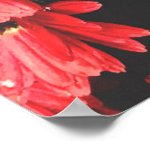 Poster belles fleurs de couleur rouge, fleurs motif, soye (Coin)
