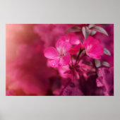 Poster Belles fleurs de printemps (Devant)