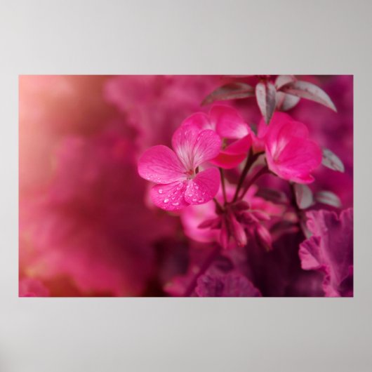 Poster Belles fleurs de printemps (Devant)