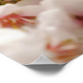 Poster Belles fleurs de printemps (Coin)