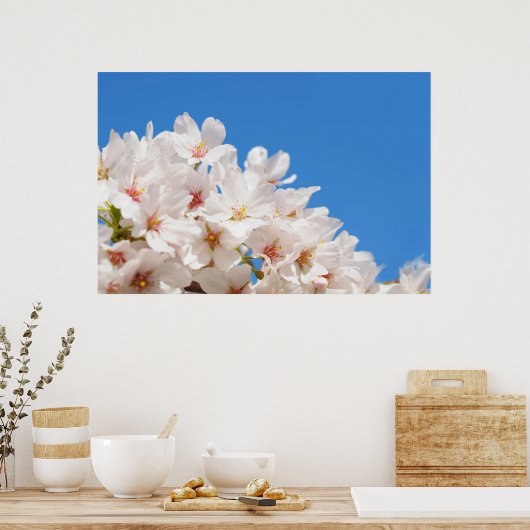 Poster Belles fleurs de printemps (Cuisine)