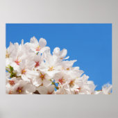 Poster Belles fleurs de printemps (Devant)
