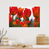 Poster Belles fleurs de tulipes rouges. (Cuisine)