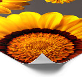 Poster Belles fleurs jaunes sur arrière - plan gris (Coin)