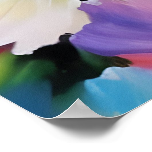 Poster Belles Fleurs Peintes (Coin)