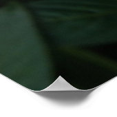 Poster Belles fleurs tropicales blanches Imprimer (Coin)