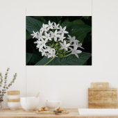 Poster Belles fleurs tropicales blanches Imprimer (Cuisine)