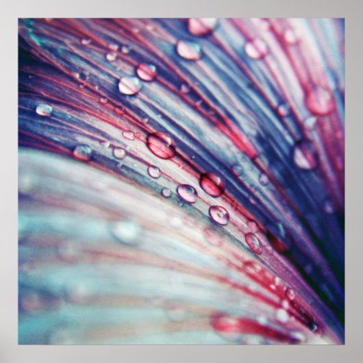 Poster Belles gouttes de fleurs rose Abstrait (Devant)