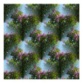 Poster Belles Lilacs... (Devant)