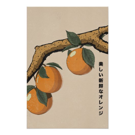 Poster Belles oranges fraîches (Devant)