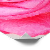 Poster Belles roses rouges et roses (Coin)