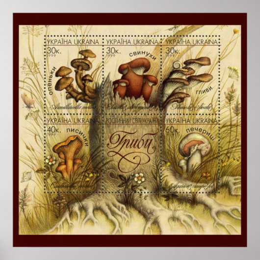 Poster Belles Timbres de Champignons ~ Toadstool Ukraine (Devant)