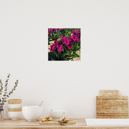 Poster Belles tulipes (Cuisine)