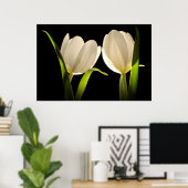 Poster Belles tulipes blanches sur Arrière - plan noir (Bureau à domicile)