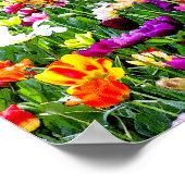 Poster Belles Tulipes Colorées Artsy Floral (Coin)