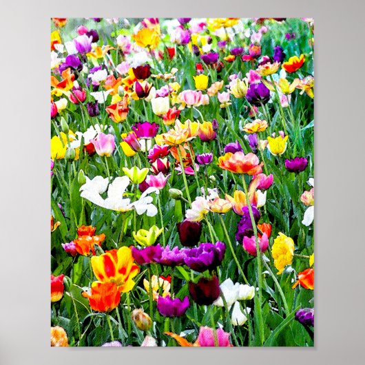 Poster Belles Tulipes Colorées Artsy Floral (Devant)