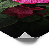 Poster Belles Visions Hibiscus Floral Wall Art GPsg (Coin)