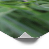 Poster Bellflower (homonymie) (Coin)