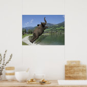 Poster Belly Flop Elephant (Cuisine)