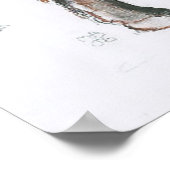 Poster Belties 2006 (Coin)