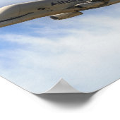 Poster Beluga (Coin)