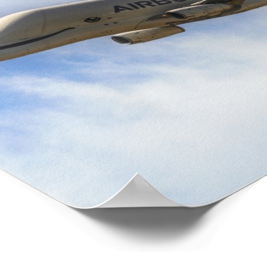 Poster Beluga (Coin)