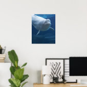 Poster Béluga (Delphinapterus leucas) (Bureau à domicile)