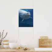 Poster Béluga (Delphinapterus leucas) (Cuisine)