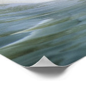 Poster Béluga, Delphinapterus leucas) (Coin)