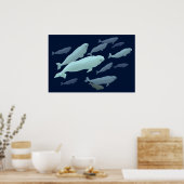 Poster Beluga Whale Art Imprimer Marinelife Whale Peintur (Cuisine)