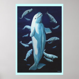 Poster Beluga Whale Art Imprimer Marinelife Whale Peintur