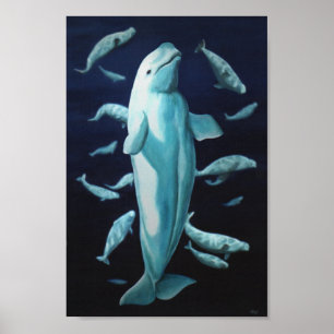 Poster Beluga Whale Art Print Marinelife Whale Painting