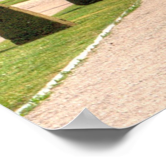 Poster Belvedere (Coin)