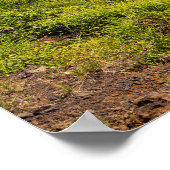 Poster belvédère d'haleokane au-dessus de la baie d'honua (Coin)