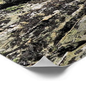 Poster Ben Lomond Kea (Coin)