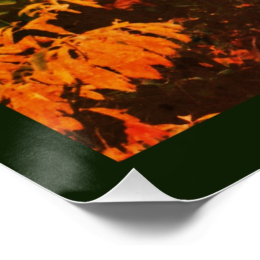 Poster Bend fluvial (Coin)