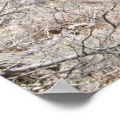 Poster Bend fluvial (Coin)