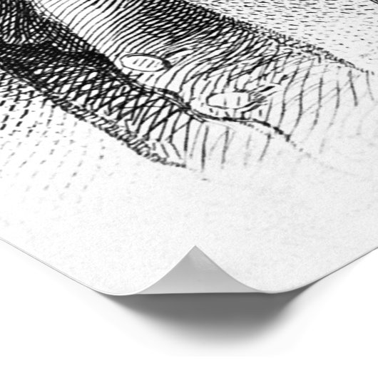 Poster Benedict Arnold (Coin)