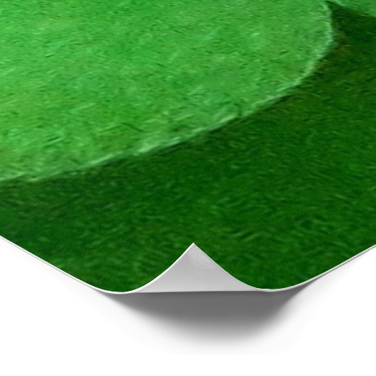 Poster Bénédiction irlandaise (Coin)