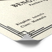 Poster Bengal Tiger Zoology Series (Coin)