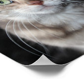 Poster Bengale brun bleu rare Photo de chat (Coin)