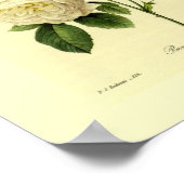 Poster Bengale Rose Botanique Floral (Coin)