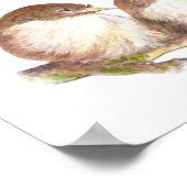 Poster Bénissez cette maison, famille d'oiseaux moelleux (Coin)