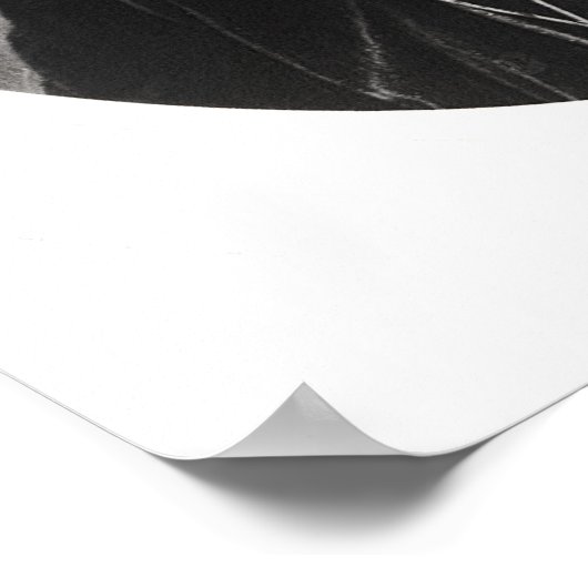 Poster Benjamin Disraeli c.1874 (Coin)