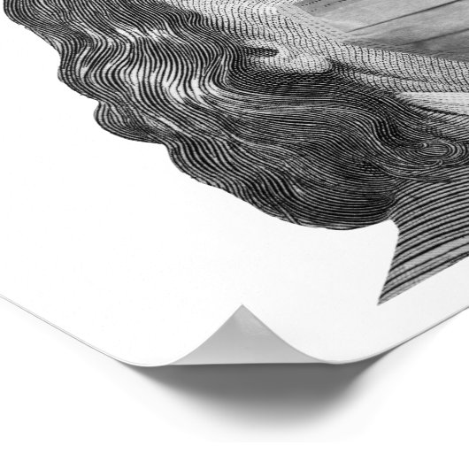 Poster Benjamin Franklin en masque (Coin)